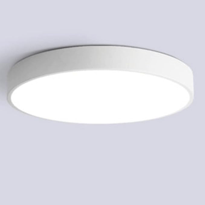 Modern Minimalist LED Flush Mount Ceiling Lamp