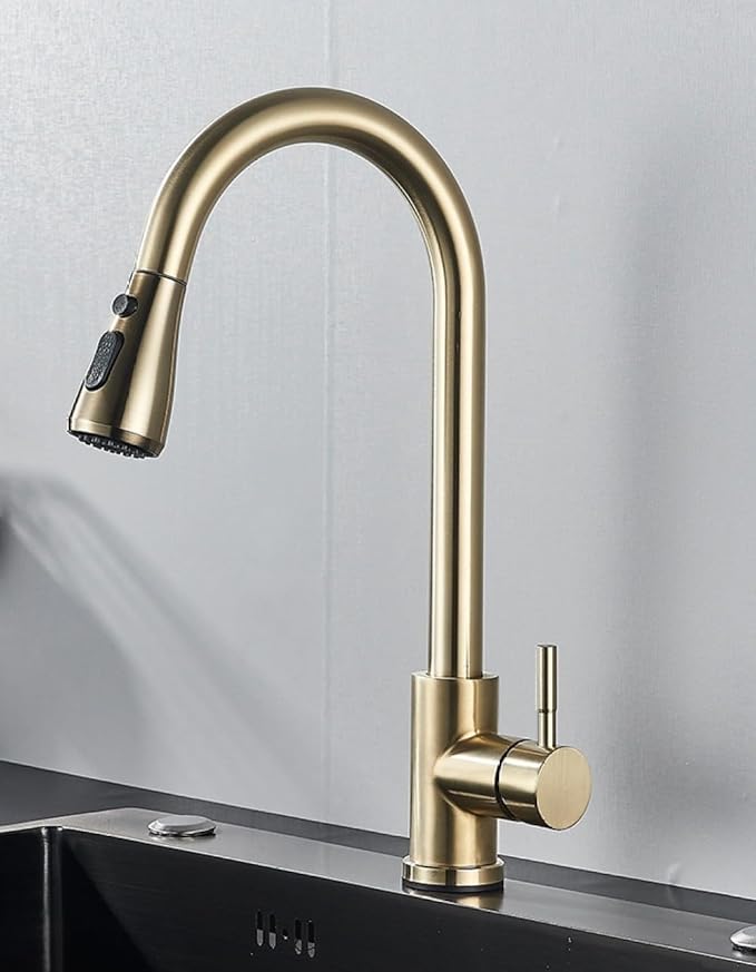 2 in 1 Spout Pull Out Single Handle Kitchen Sink Faucet