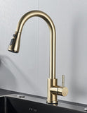 2 in 1 Spout Pull Out Single Handle Kitchen Sink Faucet