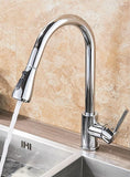 2 in 1 Spout Pull Out Single Handle Kitchen Sink Faucet