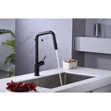 Single Handle Removable Extendable Hose Kitchen Matte Faucet