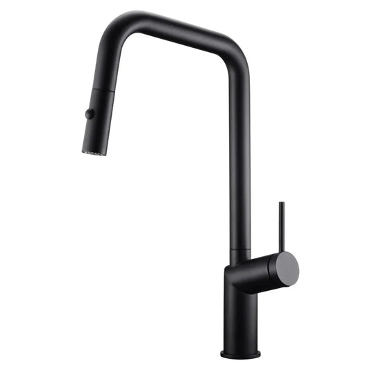 Single Handle Removable Extendable Hose Kitchen Matte Faucet