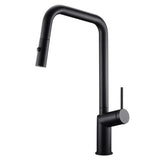 Single Handle Removable Extendable Hose Kitchen Matte Faucet