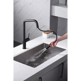 Single Handle Removable Extendable Hose Kitchen Matte Faucet