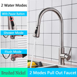 2 in 1 Spout Pull Out Single Handle Kitchen Sink Faucet