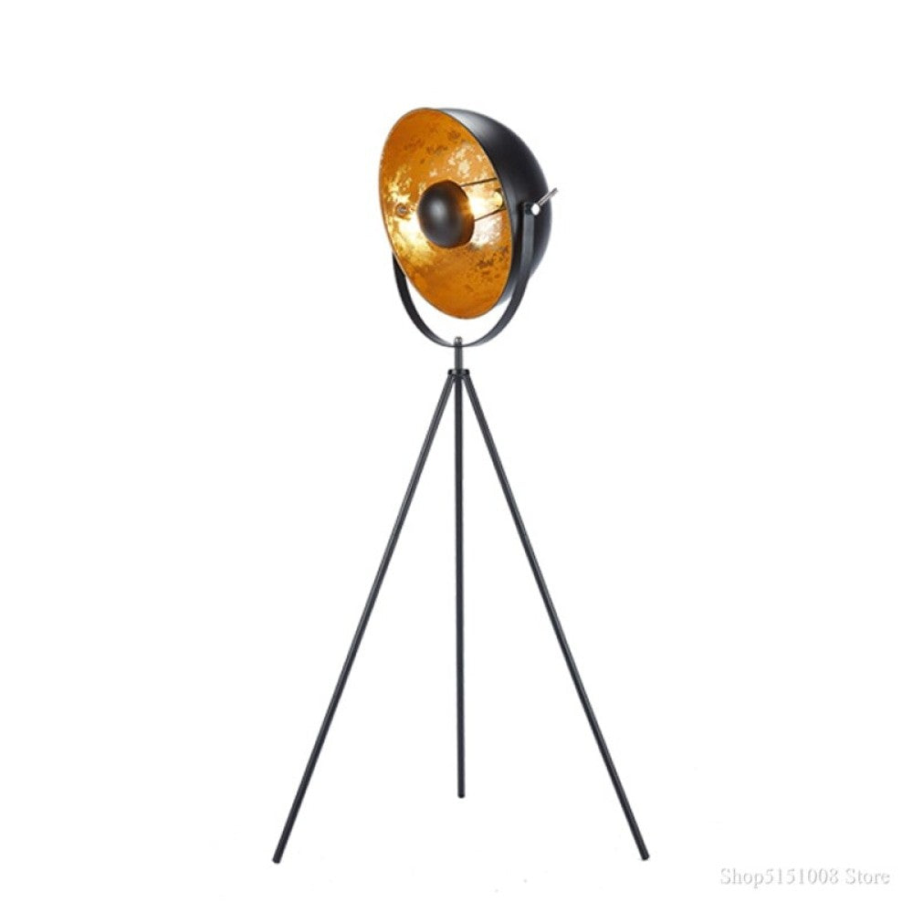 Loft Photo Studio Adjustable Angle Floor Lamp