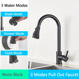 2 in 1 Spout Pull Out Single Handle Kitchen Sink Faucet