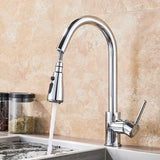 2 in 1 Spout Pull Out Single Handle Kitchen Sink Faucet