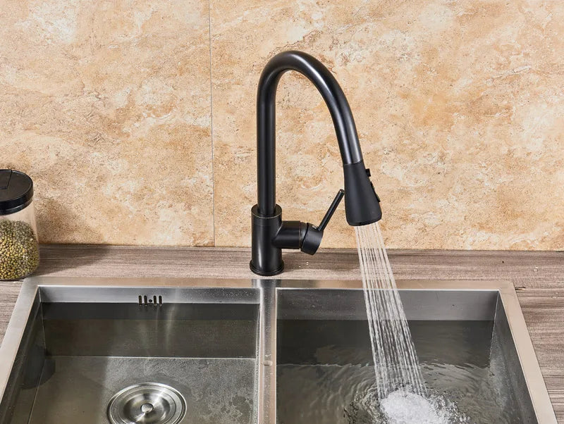 2 in 1 Spout Pull Out Single Handle Kitchen Sink Faucet