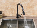 2 in 1 Spout Pull Out Single Handle Kitchen Sink Faucet