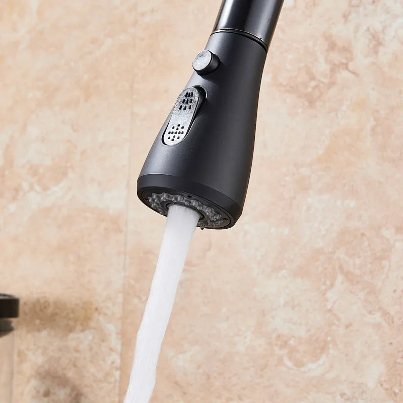 2 in 1 Spout Pull Out Single Handle Kitchen Sink Faucet