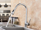 2 in 1 Spout Pull Out Single Handle Kitchen Sink Faucet