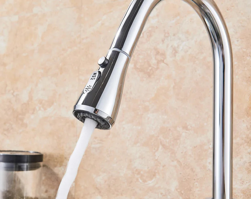 2 in 1 Spout Pull Out Single Handle Kitchen Sink Faucet