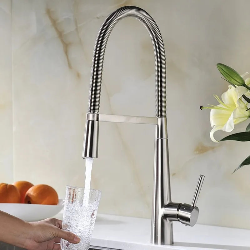 Swivel Spring Spout Pull Down 2 Function Sprayer Sink Faucet