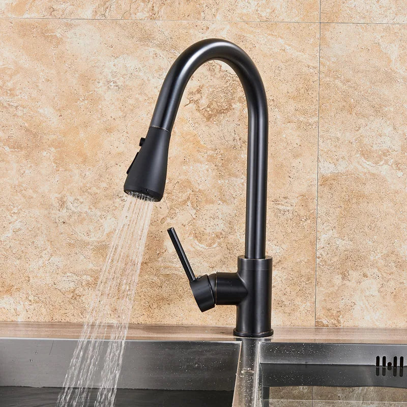 2 in 1 Spout Pull Out Single Handle Kitchen Sink Faucet