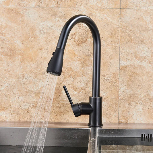 2 in 1 Spout Pull Out Single Handle Kitchen Sink Faucet