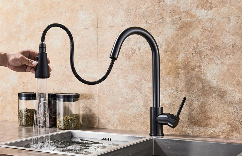 2 in 1 Spout Pull Out Single Handle Kitchen Sink Faucet