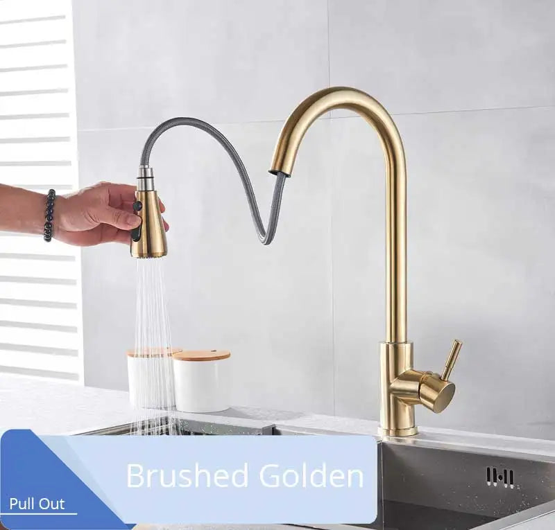 2 in 1 Spout Pull Out Single Handle Kitchen Sink Faucet