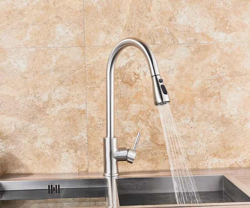 2 in 1 Spout Pull Out Single Handle Kitchen Sink Faucet