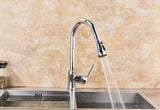 2 in 1 Spout Pull Out Single Handle Kitchen Sink Faucet