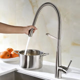 Swivel Spring Spout Pull Down 2 Function Sprayer Sink Faucet