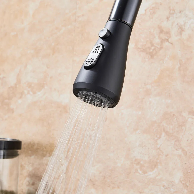 2 in 1 Spout Pull Out Single Handle Kitchen Sink Faucet