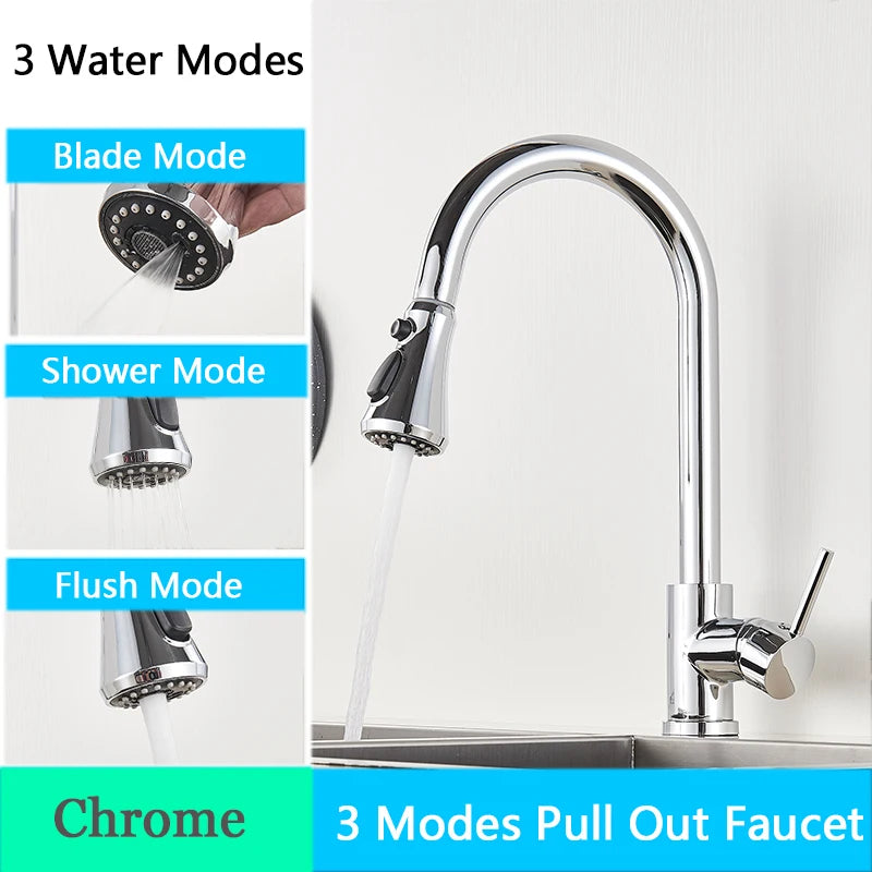 2 in 1 Spout Pull Out Single Handle Kitchen Sink Faucet