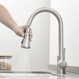 2 in 1 Spout Pull Out Single Handle Kitchen Sink Faucet