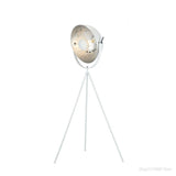 Loft Photo Studio Adjustable Angle Floor Lamp