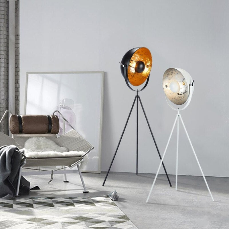 Loft Photo Studio Adjustable Angle Floor Lamp