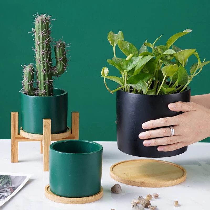 Small Wooden Flower Pot Stand and Trays