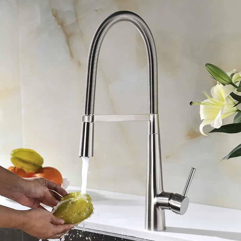 Swivel Spring Spout Pull Down 2 Function Sprayer Sink Faucet