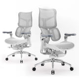 Ergonomic Office Lumbar Support Adjustable Recliner Chair