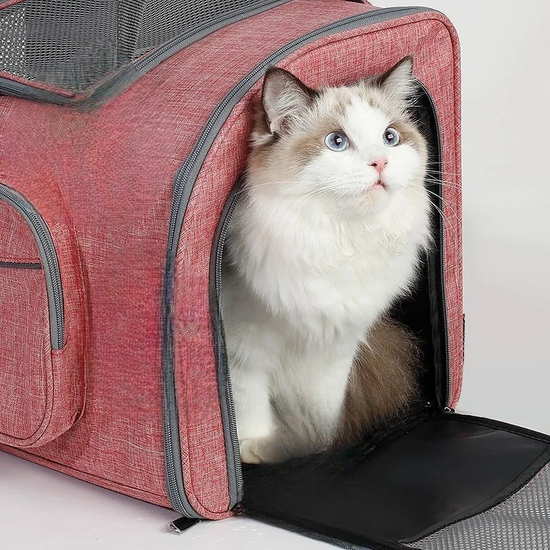 Durable Large Space Pet Backpack Breathable Expandable