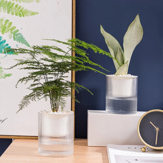 Garden Water Storage Transparent Plastic Pot