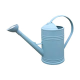 Plant Watering Can With Spray Head