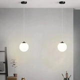 Round LED Nordic Hanging Lamp Pendant Lights