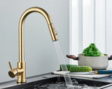 Two Function Single Handle Pull Out Deck Mounted Faucet