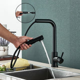 Pull Out Sprayer Nozzle Tap Deck Kitchen Sink Faucet