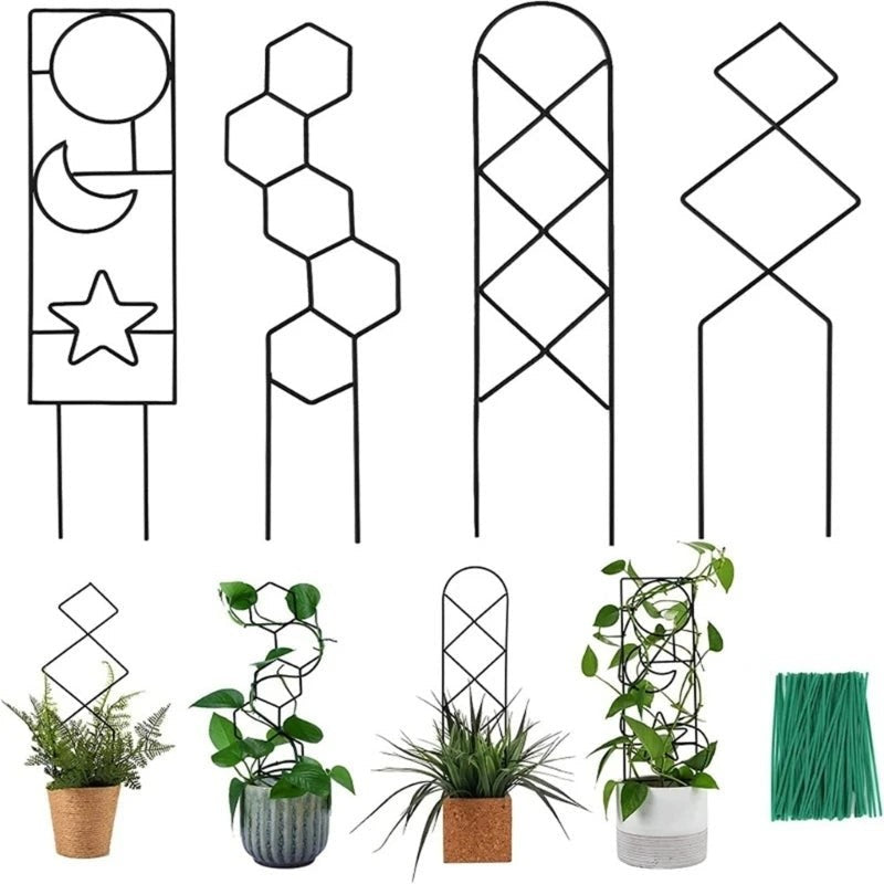 Stem Climbing Supports Plant Trellis Support