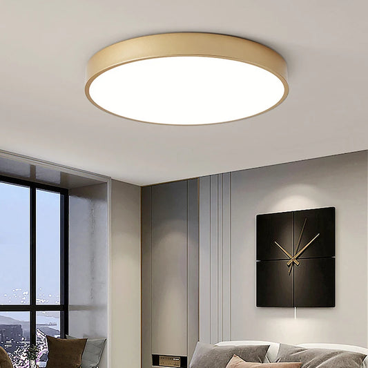 Modern Minimalist LED Flush Mount Ceiling Lamp