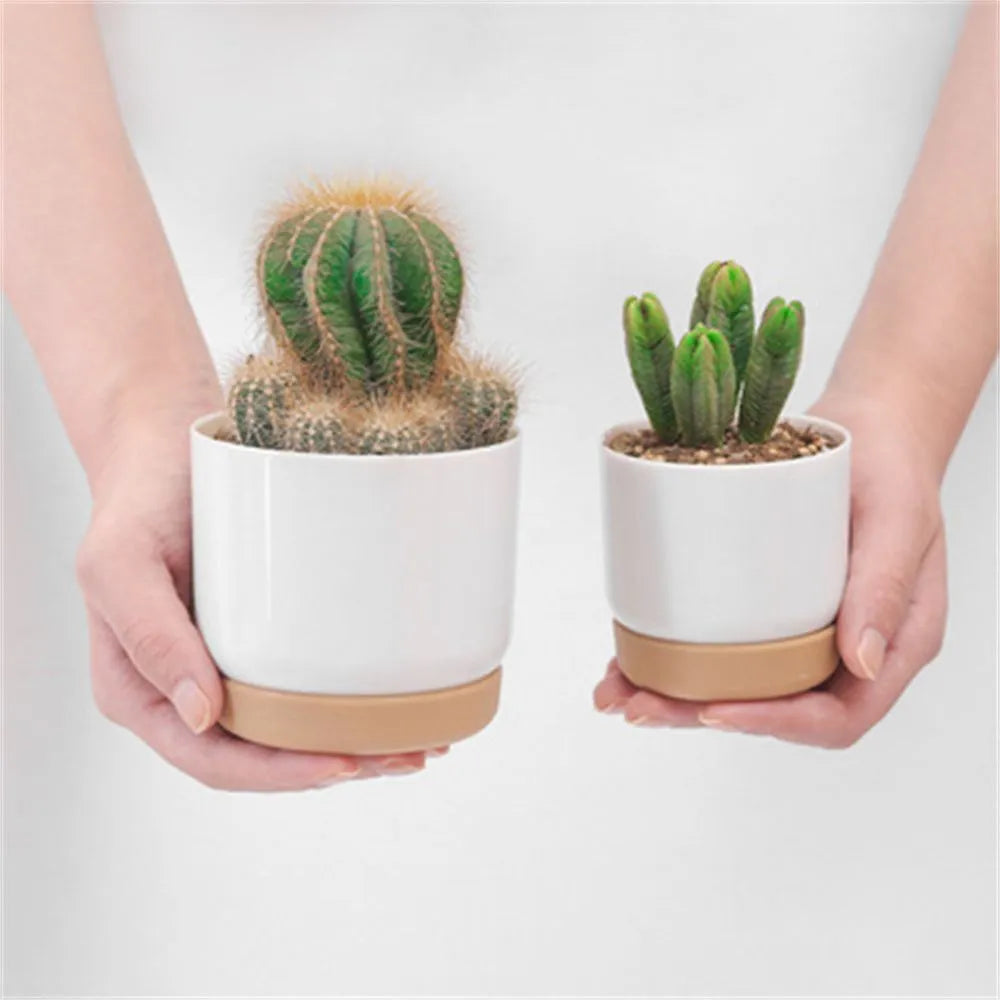 Double Layer Round Self Watering Pot For Green Plants