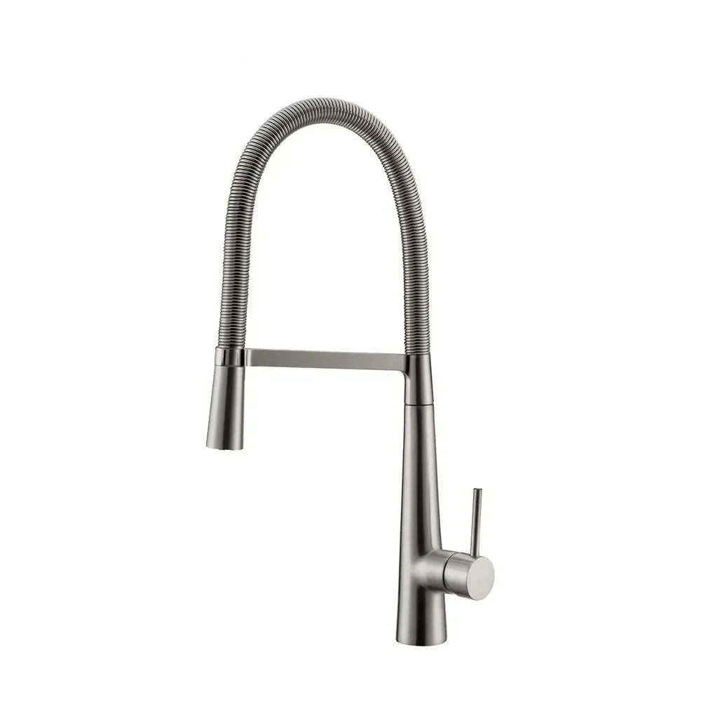 Swivel Spring Spout Pull Down 2 Function Sprayer Sink Faucet