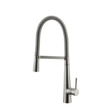 Swivel Spring Spout Pull Down 2 Function Sprayer Sink Faucet