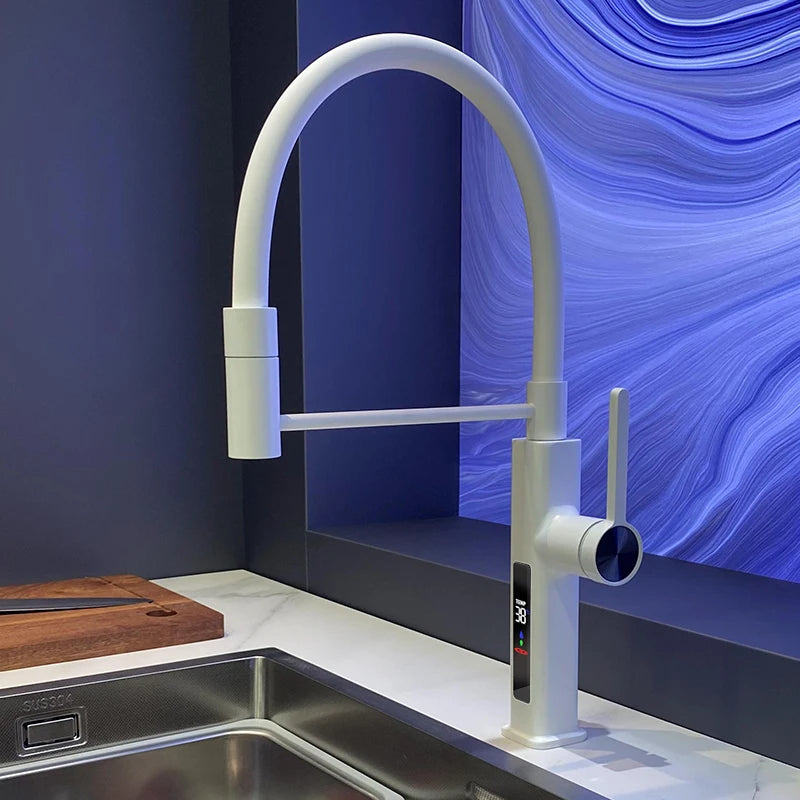 LED Panel Deck Mounted Flexible Hose Sink Kitchen Faucet