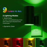 LED RGB Remote Control Dimming Tube Light Lamp