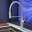 LED Panel Deck Mounted Flexible Hose Sink Kitchen Faucet