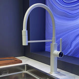 LED Panel Deck Mounted Flexible Hose Sink Kitchen Faucet