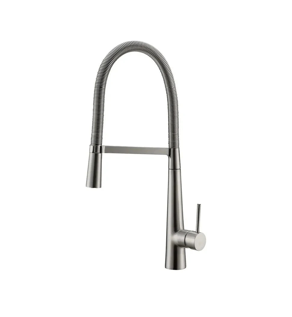 Swivel Spring Spout Pull Down 2 Function Sprayer Sink Faucet