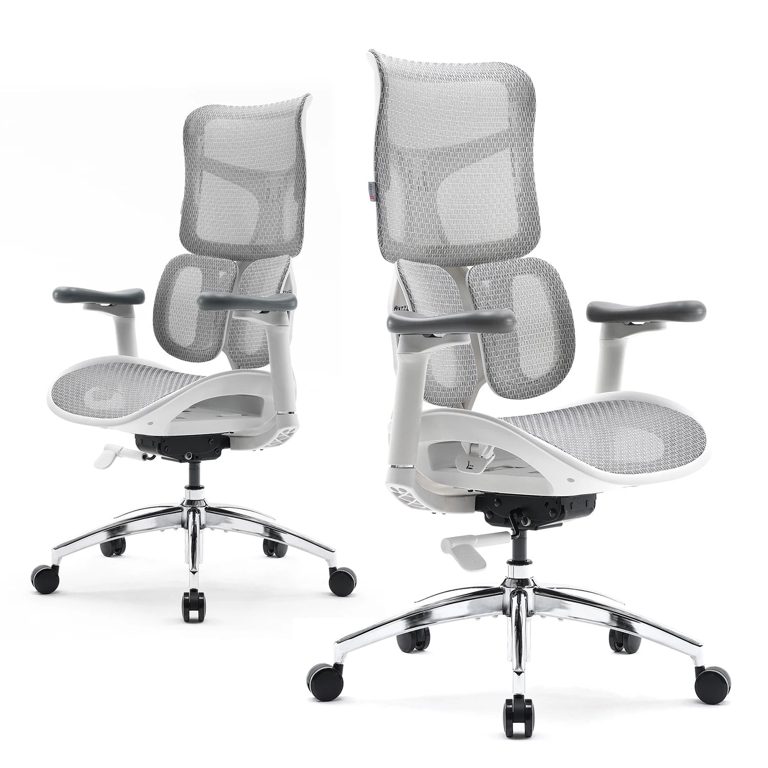 Ergonomic Office Lumbar Support Adjustable Recliner Chair